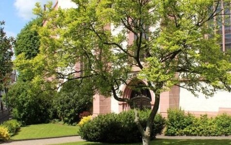 Küsterin bzw. Küster (m/w/d) zum 1. Februar 2027 gesucht