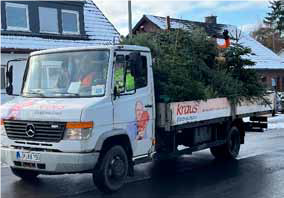 Tannenbaum-Aktion in Blomberg